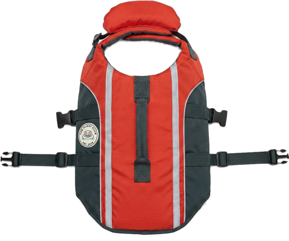 Vest, laid flat